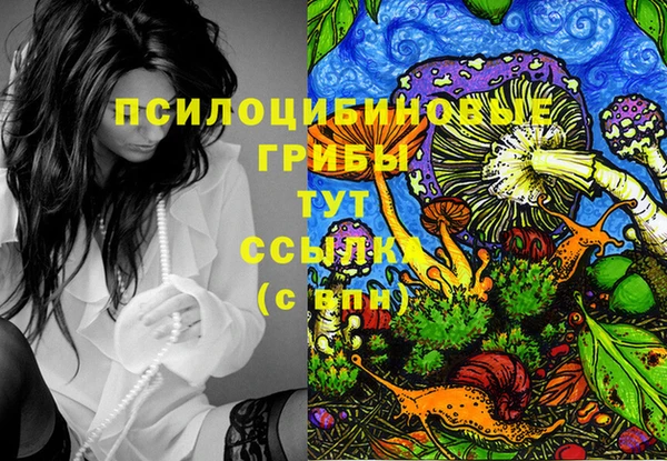 прущие крисы Новодвинск
