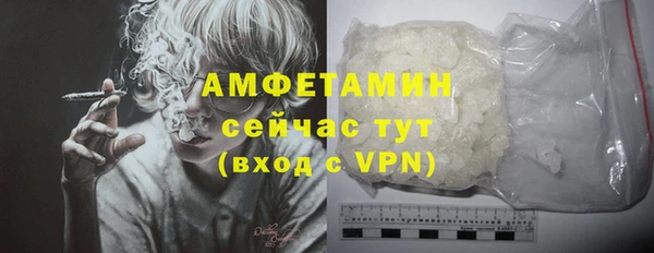 прущий лед Новозыбков