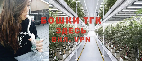прущий лед Новозыбков