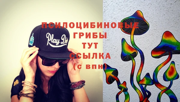 прущий лед Новозыбков