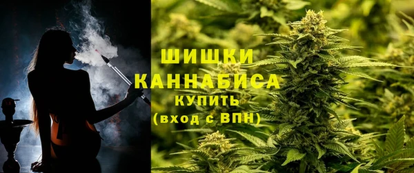 прущие крисы Новодвинск