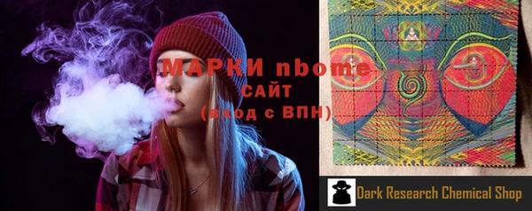 прущий лед Новозыбков