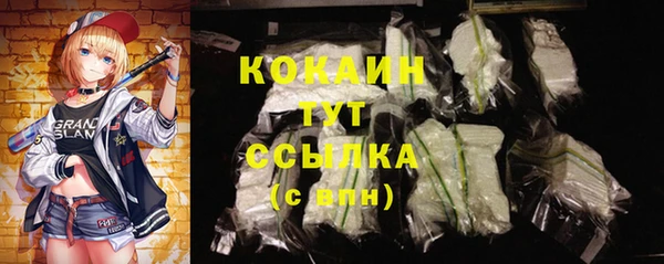 прущий лед Новозыбков