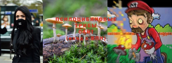 2c-b Новокубанск
